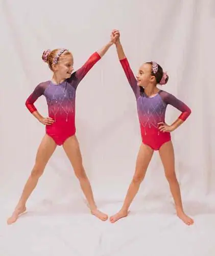 Heidi's Gym - two gymnasts posing