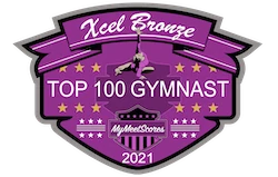 Xcel Bronze Top 100 Gymnast