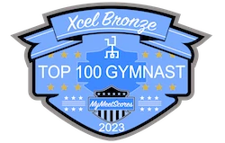 Xcel Bronze Top 100 Gymnast