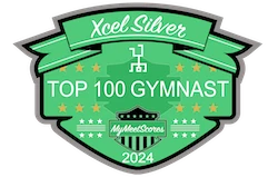 Xcel Silver Top 100 Gymnast