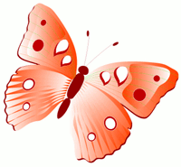 butterfly