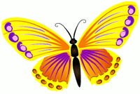 butterfly