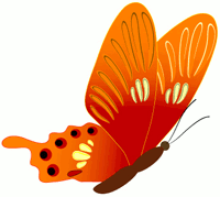 butterfly