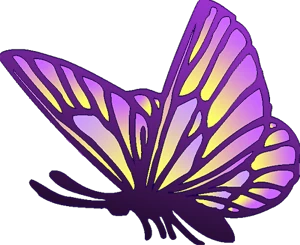 butterfly