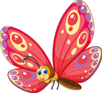 butterfly