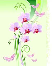 orchids with butterflies